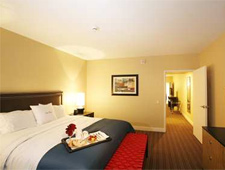 Doubletree Suites By Hilton Hotel Detroit Downtown-Fort Shelby - Detroit, MI