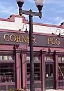 Corner Pug - West Hartford, CT