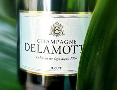 Champagne Brut Delamotte;