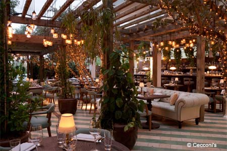 Trendiest Restaurants in Miami: Hottest Restaurants in Miami 2023