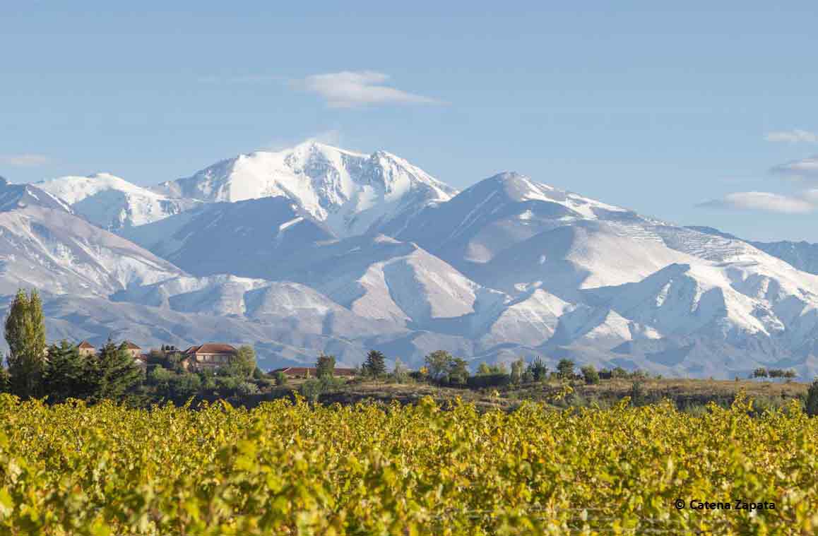 malbec-grape-varietal-definition-description-gayot