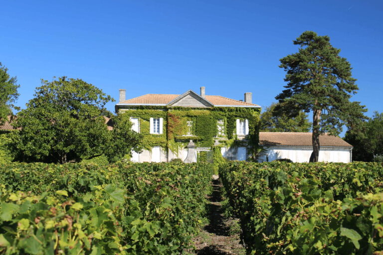 Sauvignon blanc Château Greysac Bordeaux Blanc